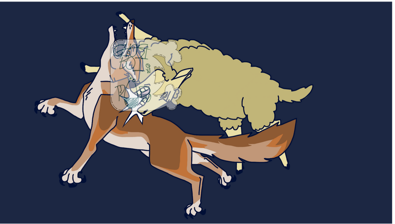 A cream-colored ewe is seen biting the back of a orange and brown coyote. It's a role reversal of the normal way wild coyotes and sheep interact.